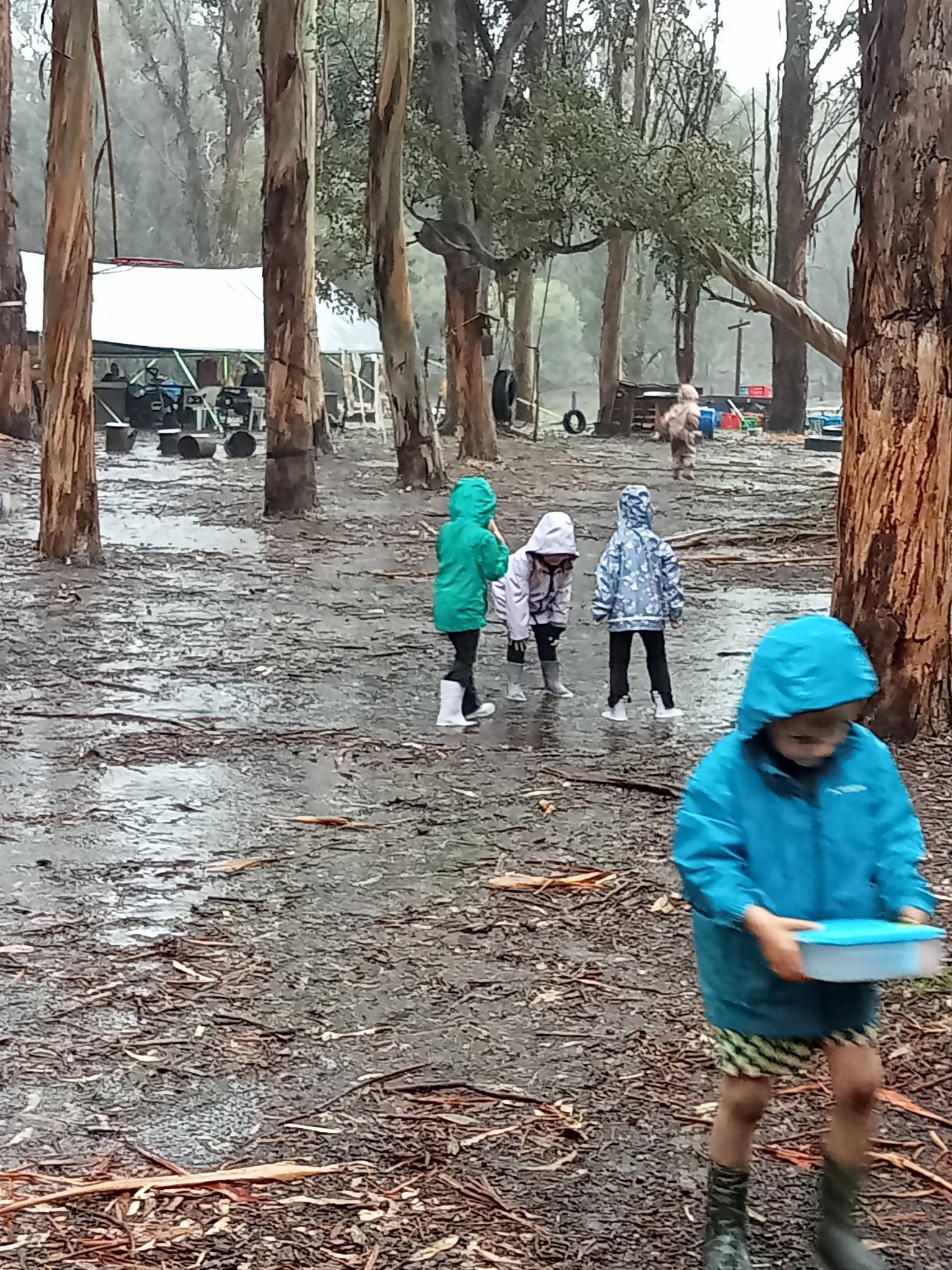 Children in rain gear exploring the property on a wet day