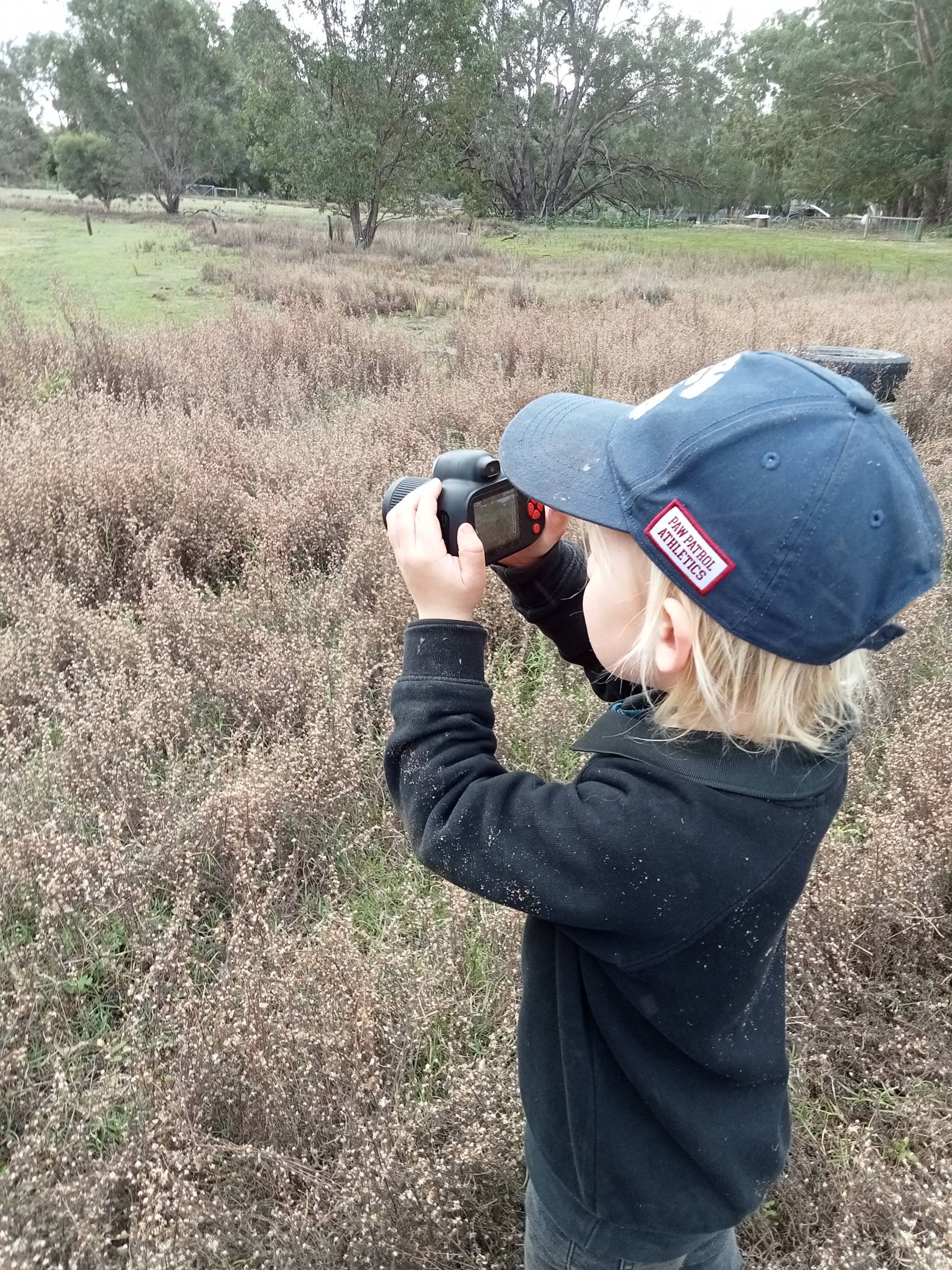 Child using binoculars to observe wildlife in the grassland