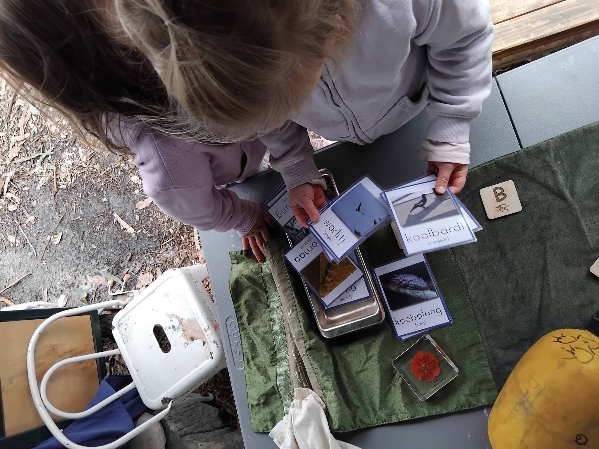 Child sorting Noongar language cards with bird names and images