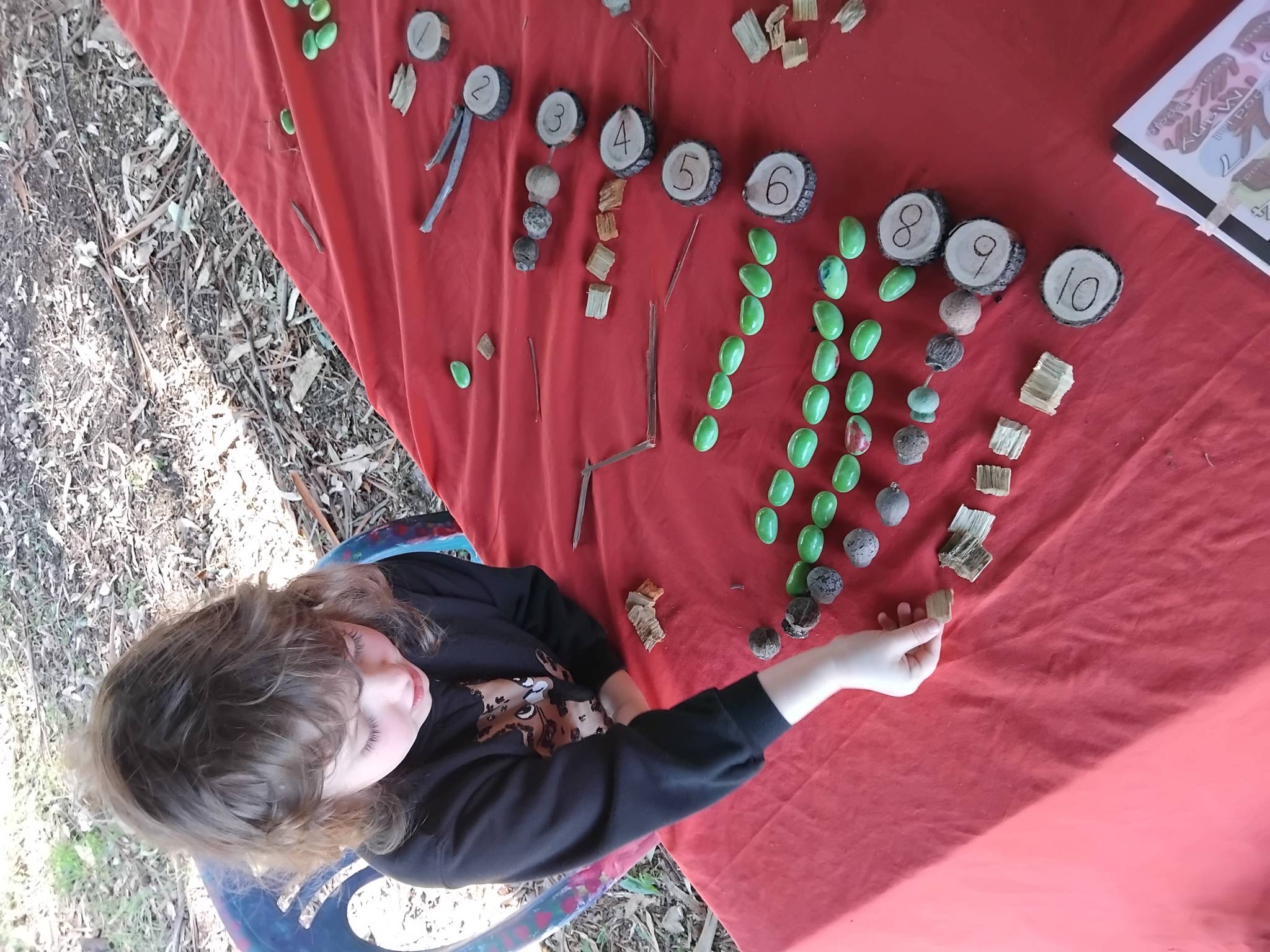 Children engaged in mathematics learning on the property